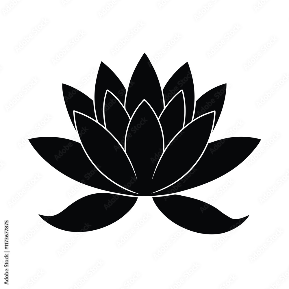 lotus flower isolated on white lotus flower isolated on white