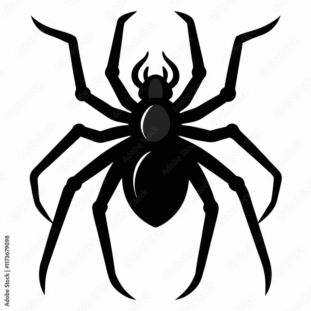Spider vector silhouette black design white background Spider vector silhouette black design white background