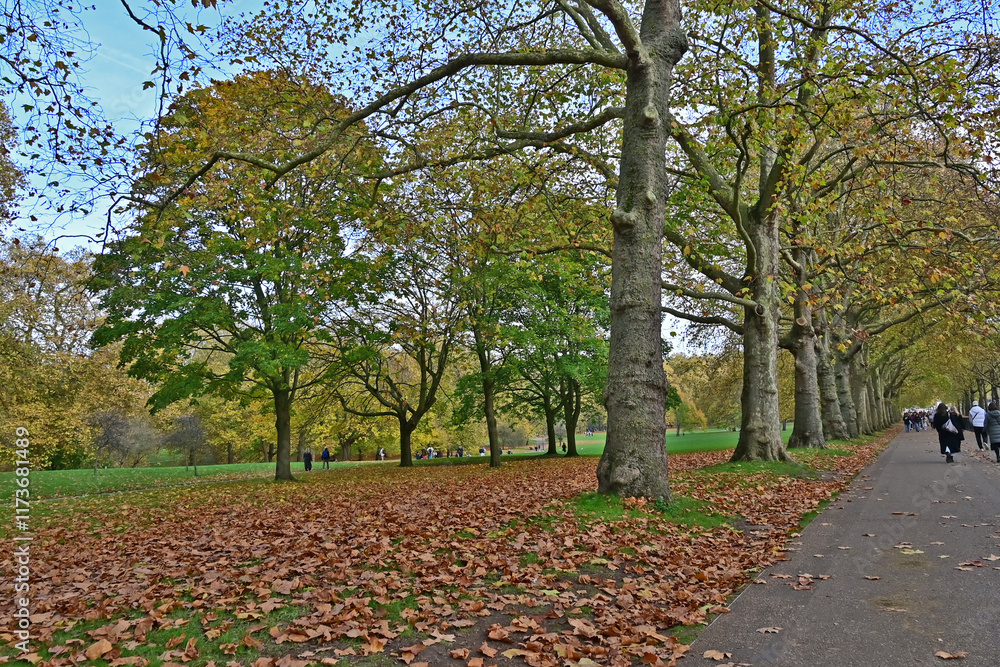 Londra, Autunno e foliage ad Hide Park - Regno Unito Londra, Autunno e foliage ad Hide Park - Regno Unito