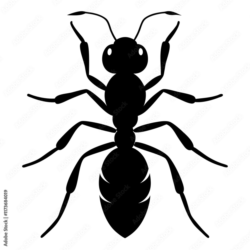 Ant vector silhouette black design white background Ant vector silhouette black design white background