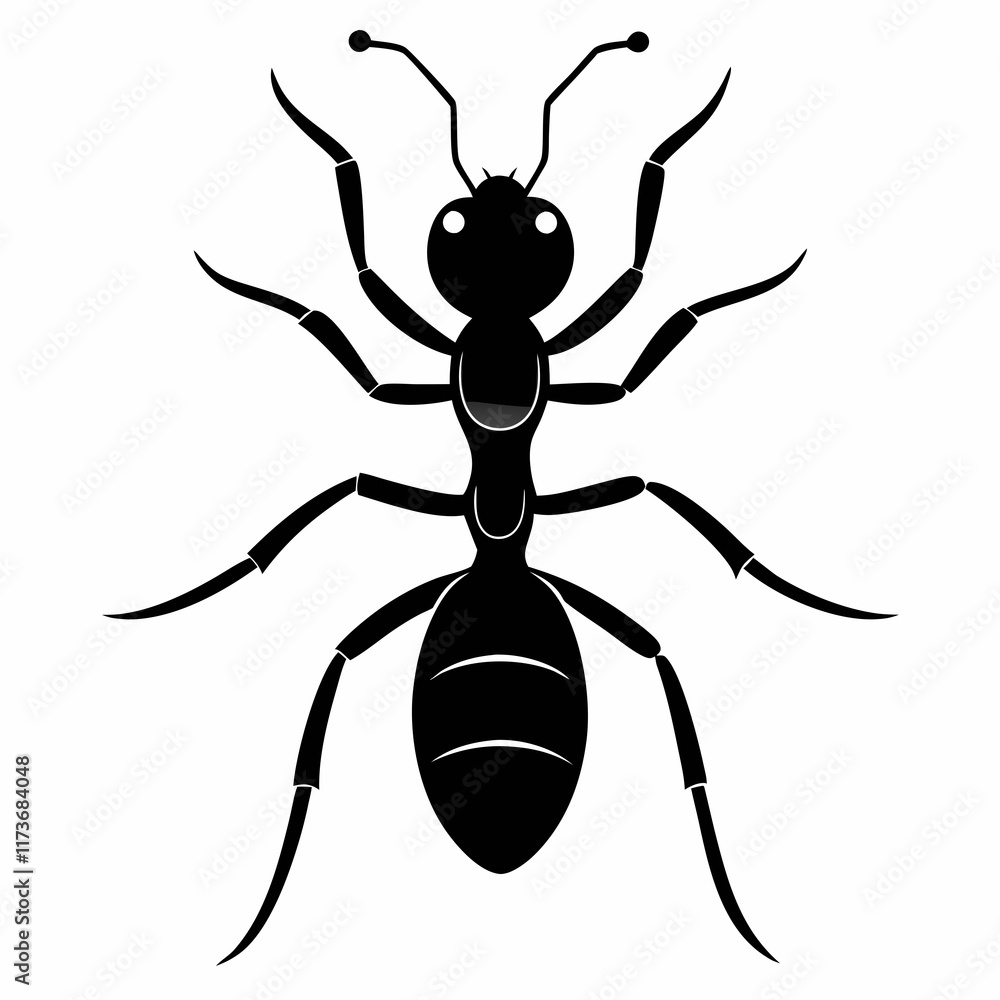 Ant vector silhouette black design white background Ant vector silhouette black design white background