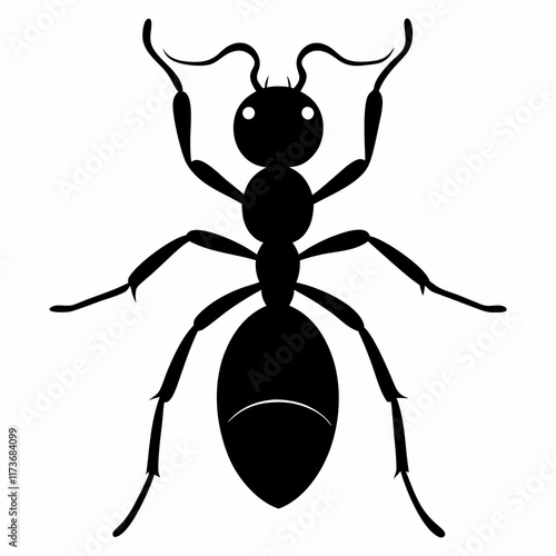 Ant vector silhouette black design white background