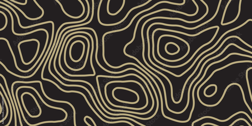 Fototapeta premium Topographic map patterns, topography line map. Vintage outdoors style. Abstract topographic contours map background. Abstract Topographic Pattern in Black and White.