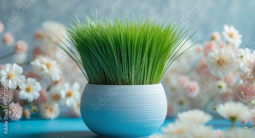 Decorative pot filled with vibrant green grass placed on a blue surface with floral background