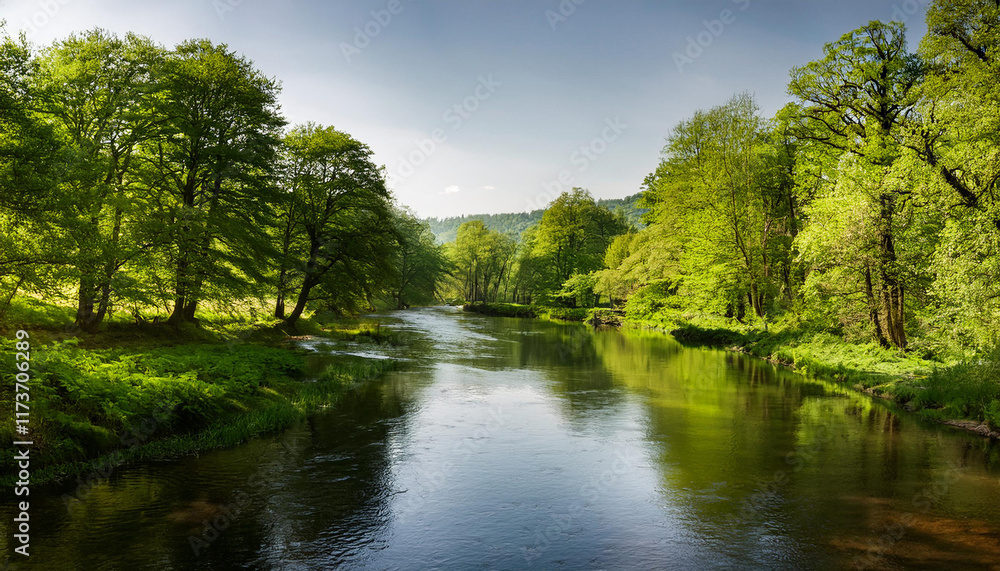 a river with green trees on each aspects a river with green trees on each aspects