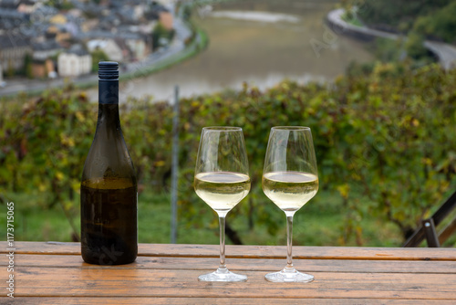 Glasses of white dry riesling wine made on Moselle river valley in Germany or Luxembourg, view on terraced vineyards photo