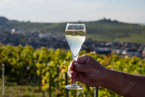 Champagne sparkling wine on grand cru Champagne vineyards near Moulin de Verzenay, Montagne de Reims near Verzy and Verzenay, Champagne, France photo