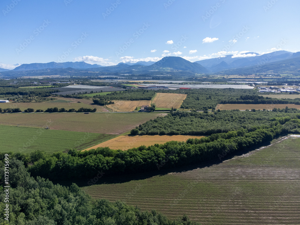 Fototapeta premium Agricultural region with lavender or lavandine plants, fruit orchards near Sisteron, Haute-Durance, Franse departement Alpes-de-Haute-Provence, in summer