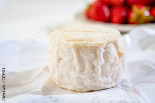 Cheese collection, soft goat French cheese with mold crottin de Chavignol produced near Sancerre on cheese farm, Loire Valley close up photo