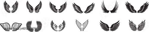 Set of Wings silhouette Vector illustration.