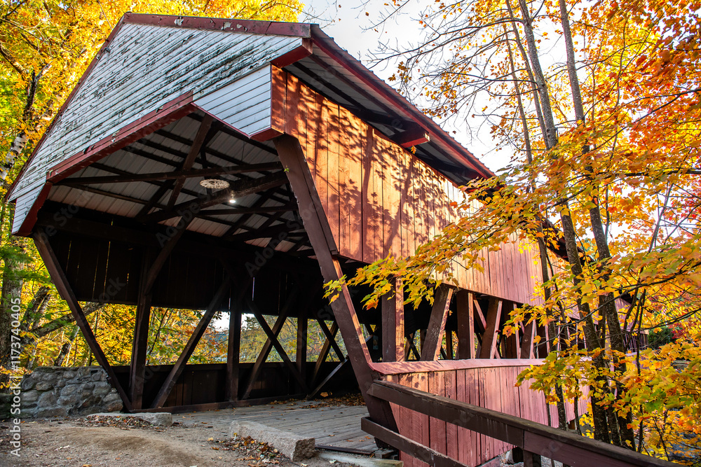 New Hampshire foliage landscape
