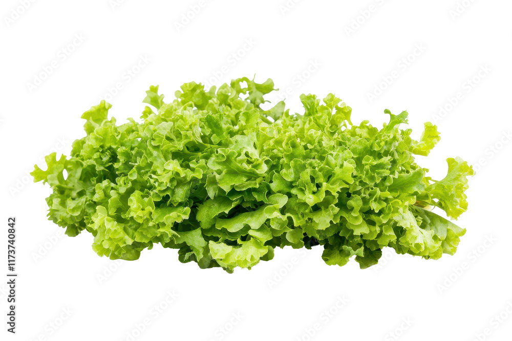 Fresh green lettuce isolated on a white background, perfect for salads and healthy dishes in culinary presentations and recipes Fresh green lettuce isolated on a white background, perfect for salads and healthy dishes in culinary presentations and recipes
