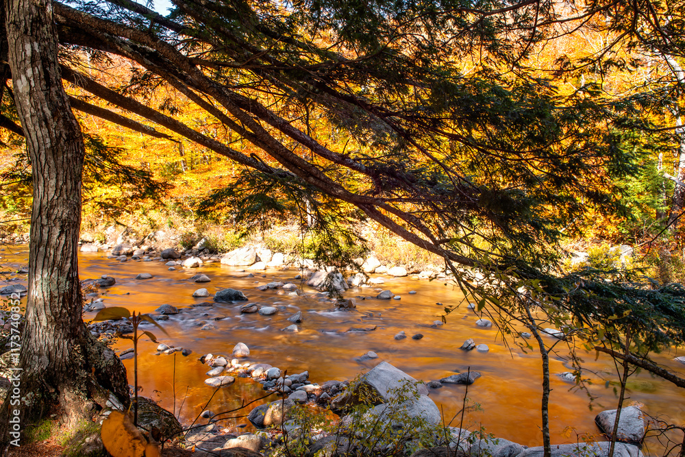 A river in New Hampshire in fall
