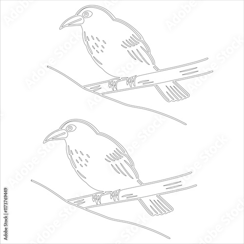 Simple outline drawing of a myna bird, perfect for coloring, crafting, and educational use