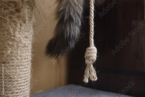 A fluffy cat's tail hanging from a play set with a scratching post and a dangling rope knot for a game. photo