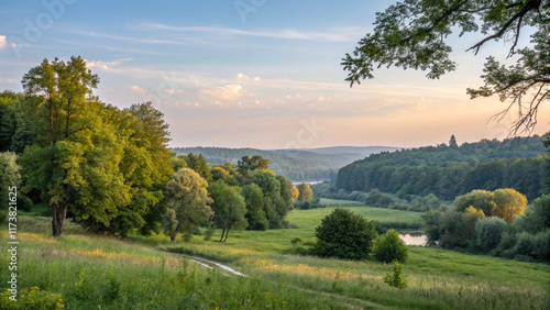 landscape