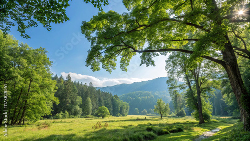 landscape