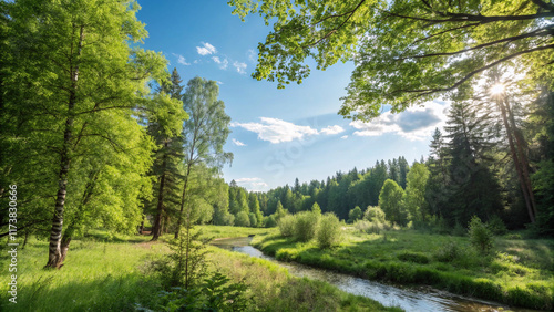 landscape