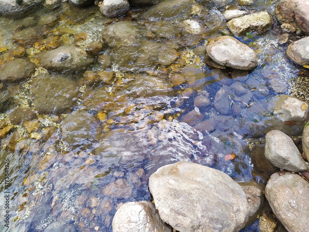 a fragment of a mountain river on a shallow riverbed, autumn in nature a fragment of a mountain river on a shallow riverbed, autumn in nature