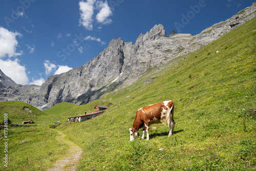 The Hineres Lauterbrunnental valley near the hotel Obersteinberg.