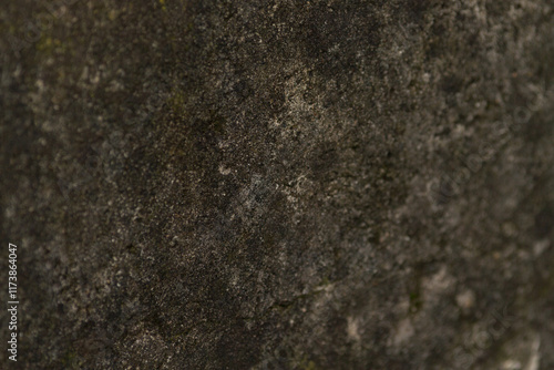 Canvas Print Stone wall surface displays intricate patterns of vibrant moss and fungal growth