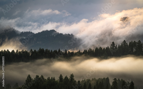 Obraz na płótnie Pieniny we mgle w salonie