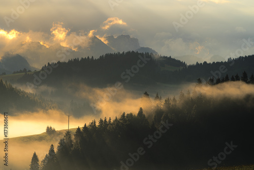 Pieniny we mgle