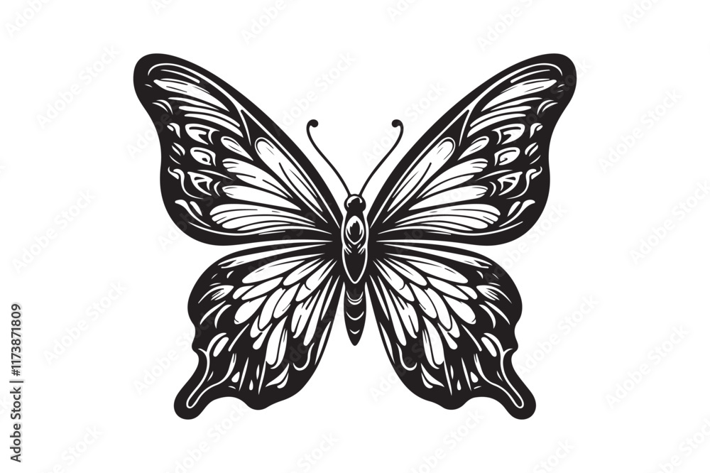 A clean black outline of a butterfly 10.eps A clean black outline of a butterfly 10.eps