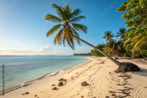 tropical beach with cocnut palm tree photo