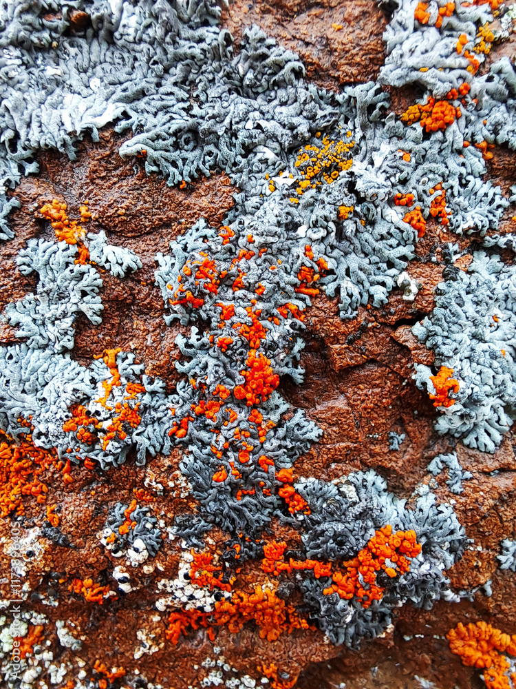 texture texture