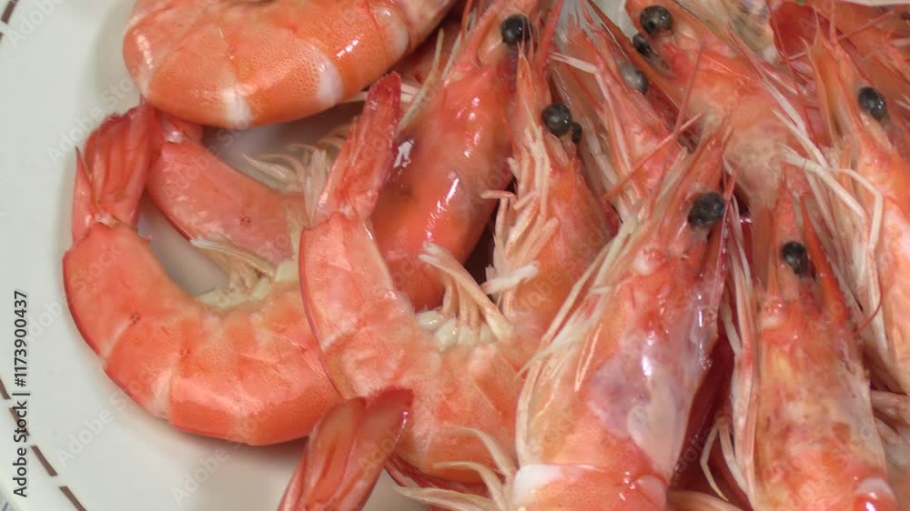assiettes de crevettes et bulots, en gros plan assiettes de crevettes et bulots, en gros plan