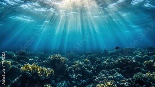 Wallpaper Mural Soft Coral Reef Exploration with Artistic Lighting Effects Torontodigital.ca