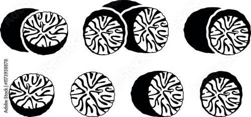Nutmeg logo. Isolated nutmeg on white background