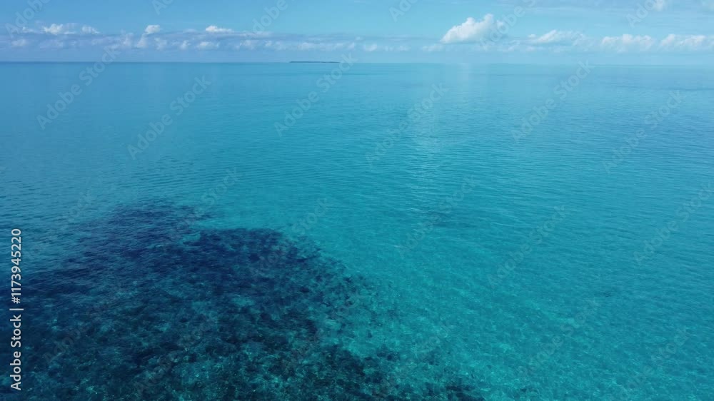 Flying over the turquoise waters of the Bahamas with Bimini in the background. Flying over the turquoise waters of the Bahamas with Bimini in the background.