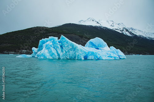 Amazing Glaciar
