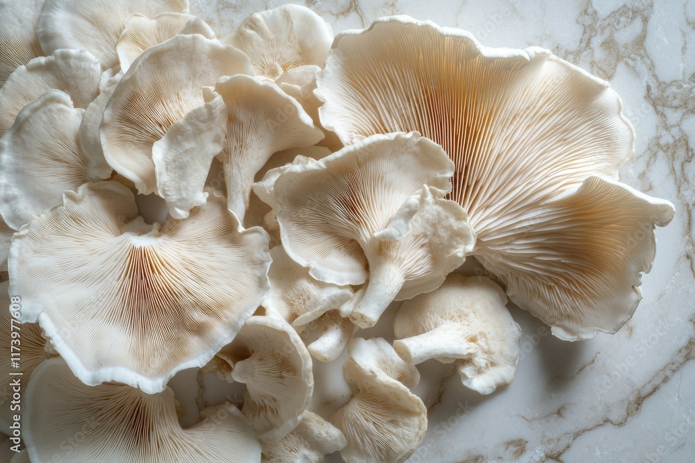 A cluster of pale oyster mushrooms, delicately arranged, showcasing their intricate gill structure. A cluster of pale oyster mushrooms, delicately arranged, showcasing their intricate gill structure.