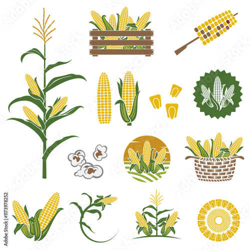 collection of corn cob emblem isolated on white background