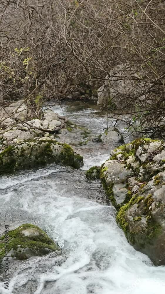Purest transparent water in a mountain river flowing among the stones. Cloudy day in the mountains. Pure still clean water in a mountain spring. Water flow overcoming rapids in a mountain waterfall Purest transparent water in a mountain river flowing among the stones. Cloudy day in the mountains. Pure still clean water in a mountain spring. Water flow overcoming rapids in a mountain waterfall