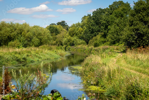 View from a boat on the winding river Stort