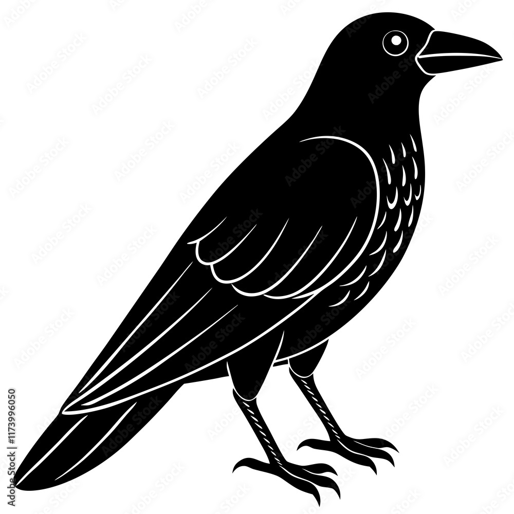 Fototapeta premium crow bird black silhouette vector with white background. Wild animal vector