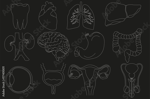 Set of vector icons related to human organs, pixel accurate, with the ability to edit strokes and scale on a black background.