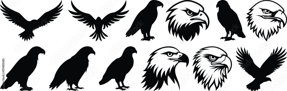 Fototapeta premium Eagle silhouette set vector design big pack of bird illustration and icon