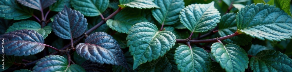 Leafy foliage in metallic green and purple hues with iridescent sheen, metallic greens, botany Leafy foliage in metallic green and purple hues with iridescent sheen, metallic greens, botany