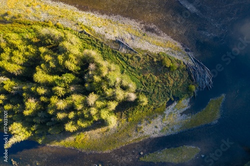 Aerial view of a riverbank island with fallen logs. Nature's beauty. Selway River, Lowell, Idaho, USA. photo