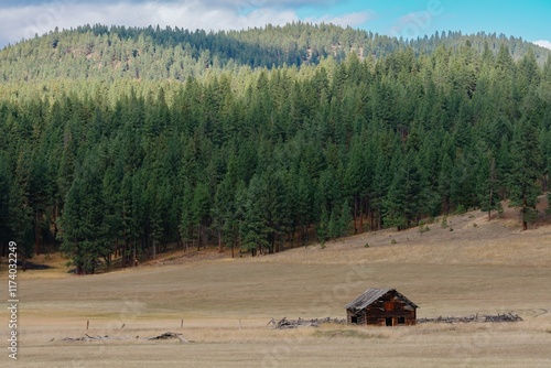 Photos Abandoned wooden cabin in a field, surrounded by a forest
