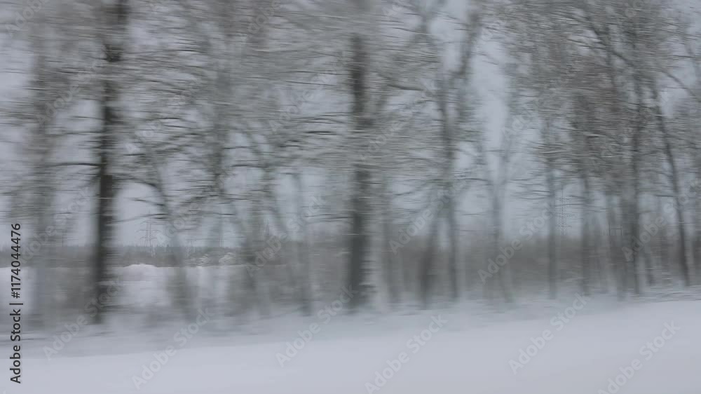 A Serene Winter Landscape Featuring Snowy Trees Against a Beautiful Blurry Background A Serene Winter Landscape Featuring Snowy Trees Against a Beautiful Blurry Background
