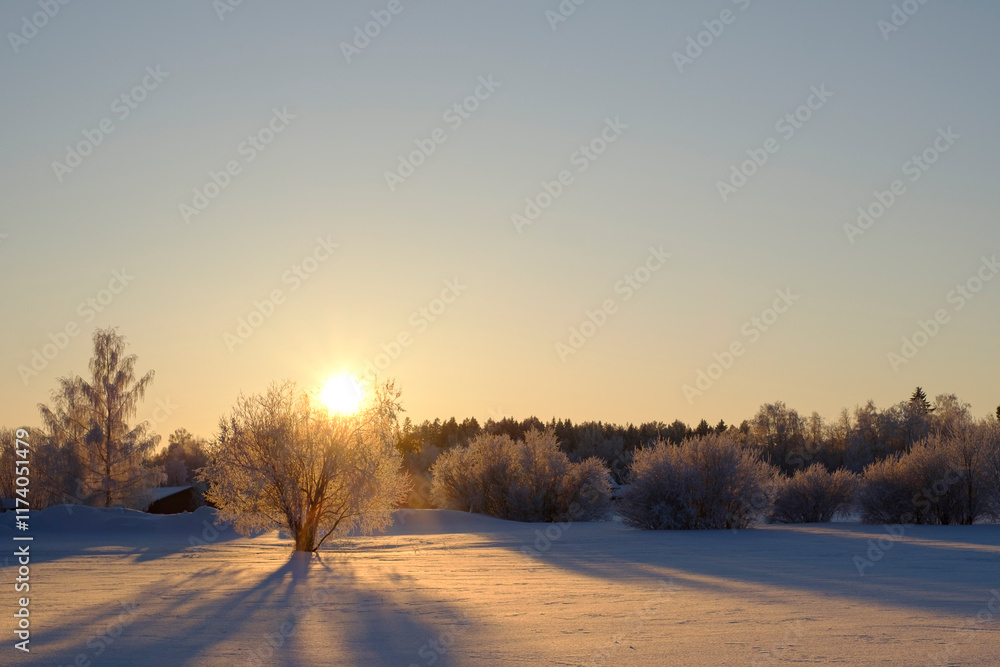sunrise in winter sunrise in winter