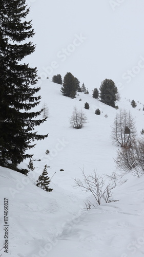 Overcast Cloudy Landscape on a Snowy Mountain
