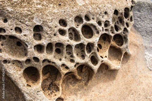 A large rock with many holes in it photo