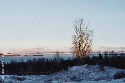 Landscape of rural Toten with Lake Mjøsa, Norway, in January 2025. photo